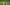 Which Fanzy Pantz kit covers what, and how NDIS funds it - Fanzy Pantz