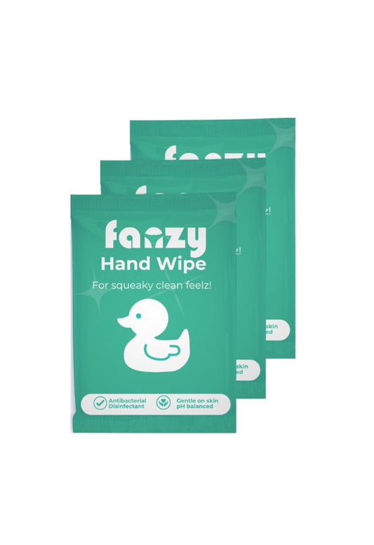 Hand Sanitiser Alcohol Wipes - Fanzy Pantz